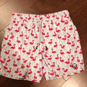 Tom & Teddy flamingo swimming shorts